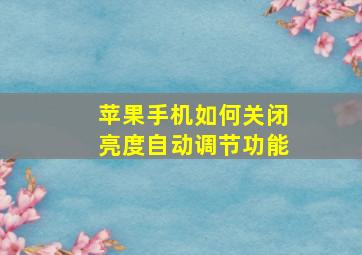 苹果手机如何关闭亮度自动调节功能