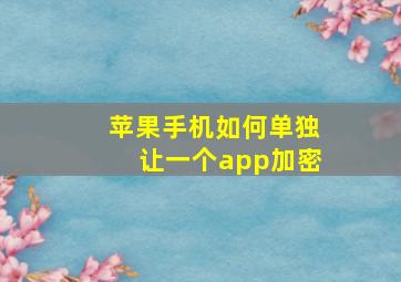 苹果手机如何单独让一个app加密