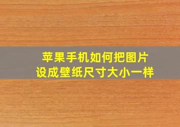 苹果手机如何把图片设成壁纸尺寸大小一样