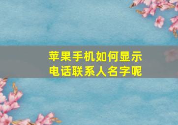 苹果手机如何显示电话联系人名字呢