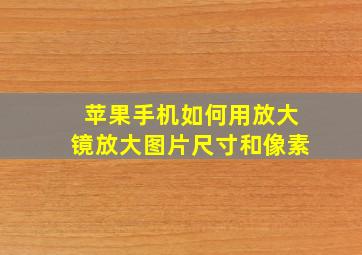 苹果手机如何用放大镜放大图片尺寸和像素