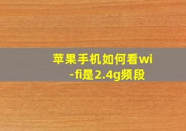 苹果手机如何看wi-fi是2.4g频段