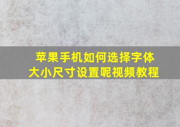 苹果手机如何选择字体大小尺寸设置呢视频教程