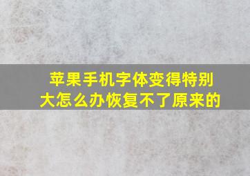 苹果手机字体变得特别大怎么办恢复不了原来的