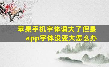 苹果手机字体调大了但是app字体没变大怎么办