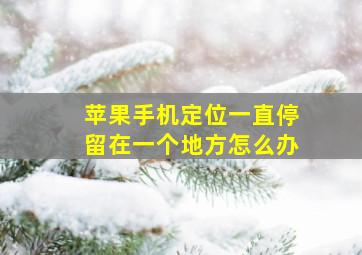 苹果手机定位一直停留在一个地方怎么办