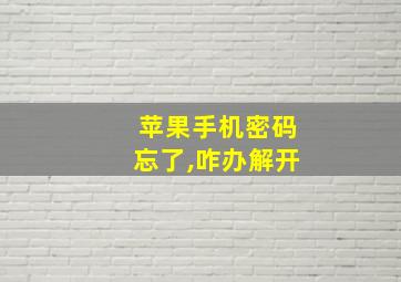 苹果手机密码忘了,咋办解开