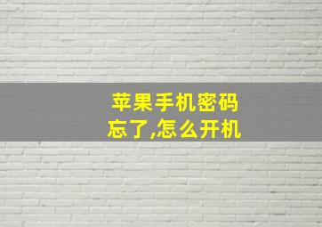 苹果手机密码忘了,怎么开机