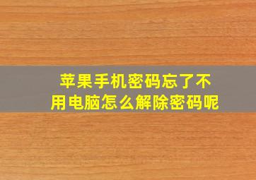 苹果手机密码忘了不用电脑怎么解除密码呢