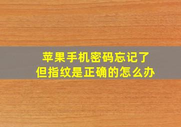 苹果手机密码忘记了但指纹是正确的怎么办