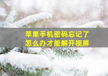 苹果手机密码忘记了怎么办才能解开视屏