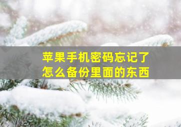 苹果手机密码忘记了怎么备份里面的东西