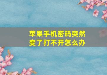 苹果手机密码突然变了打不开怎么办