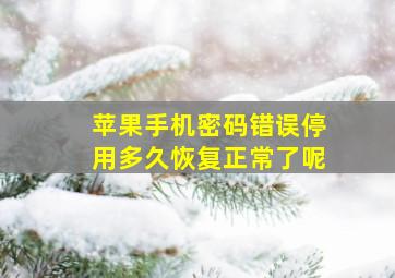 苹果手机密码错误停用多久恢复正常了呢