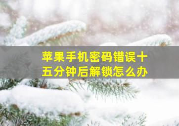 苹果手机密码错误十五分钟后解锁怎么办