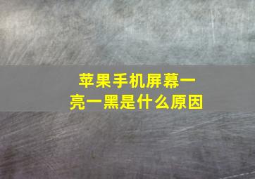 苹果手机屏幕一亮一黑是什么原因