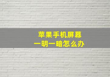 苹果手机屏幕一明一暗怎么办