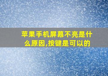 苹果手机屏幕不亮是什么原因,按键是可以的