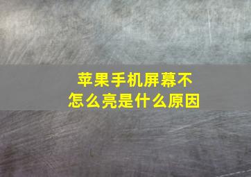 苹果手机屏幕不怎么亮是什么原因