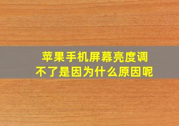 苹果手机屏幕亮度调不了是因为什么原因呢