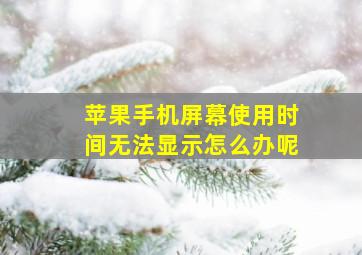 苹果手机屏幕使用时间无法显示怎么办呢