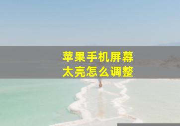 苹果手机屏幕太亮怎么调整