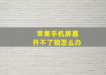 苹果手机屏幕开不了锁怎么办