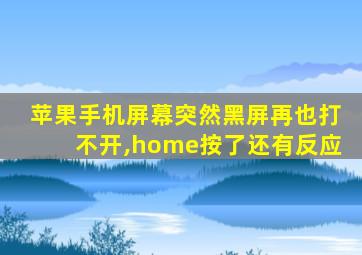 苹果手机屏幕突然黑屏再也打不开,home按了还有反应