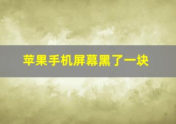 苹果手机屏幕黑了一块