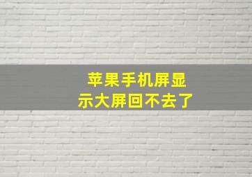 苹果手机屏显示大屏回不去了