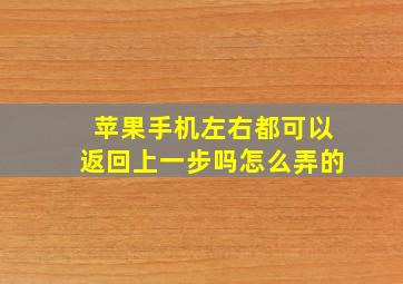 苹果手机左右都可以返回上一步吗怎么弄的