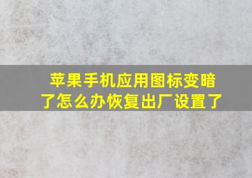 苹果手机应用图标变暗了怎么办恢复出厂设置了