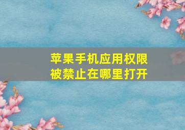 苹果手机应用权限被禁止在哪里打开