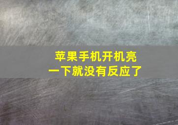 苹果手机开机亮一下就没有反应了