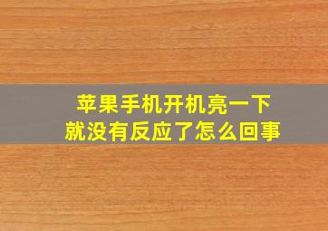 苹果手机开机亮一下就没有反应了怎么回事