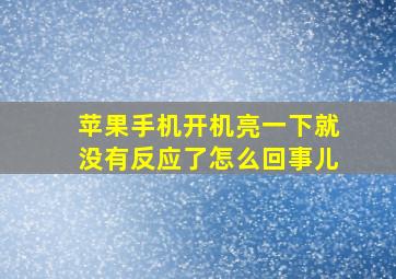 苹果手机开机亮一下就没有反应了怎么回事儿