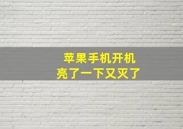 苹果手机开机亮了一下又灭了