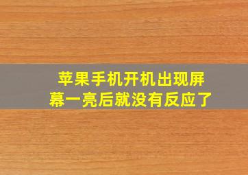 苹果手机开机出现屏幕一亮后就没有反应了