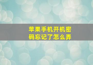 苹果手机开机密码忘记了怎么弄