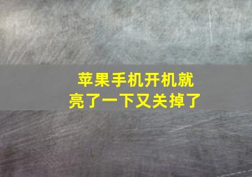 苹果手机开机就亮了一下又关掉了