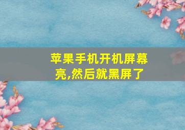 苹果手机开机屏幕亮,然后就黑屏了