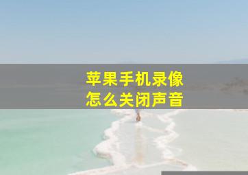 苹果手机录像怎么关闭声音