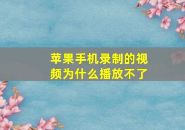 苹果手机录制的视频为什么播放不了