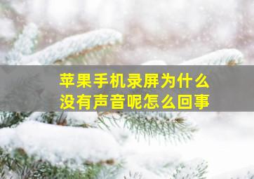 苹果手机录屏为什么没有声音呢怎么回事