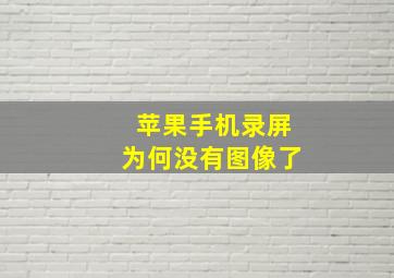 苹果手机录屏为何没有图像了