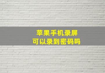 苹果手机录屏可以录到密码吗