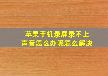 苹果手机录屏录不上声音怎么办呢怎么解决