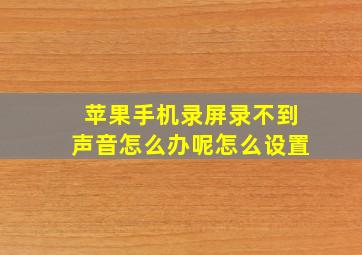 苹果手机录屏录不到声音怎么办呢怎么设置