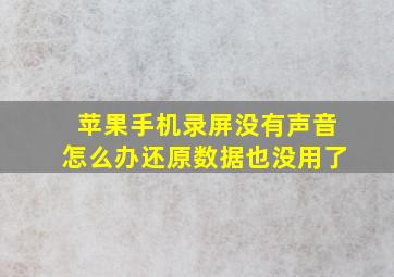 苹果手机录屏没有声音怎么办还原数据也没用了