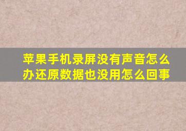 苹果手机录屏没有声音怎么办还原数据也没用怎么回事